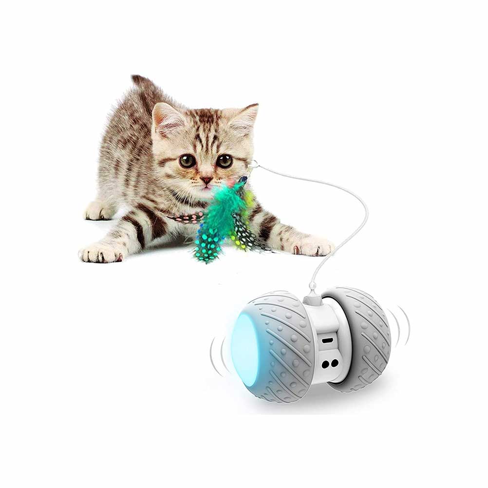 outward hound star spinner